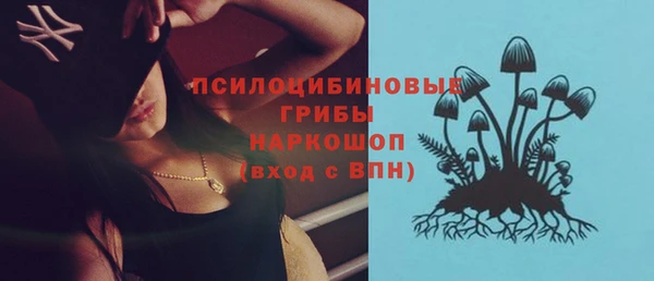 соль ск Нязепетровск